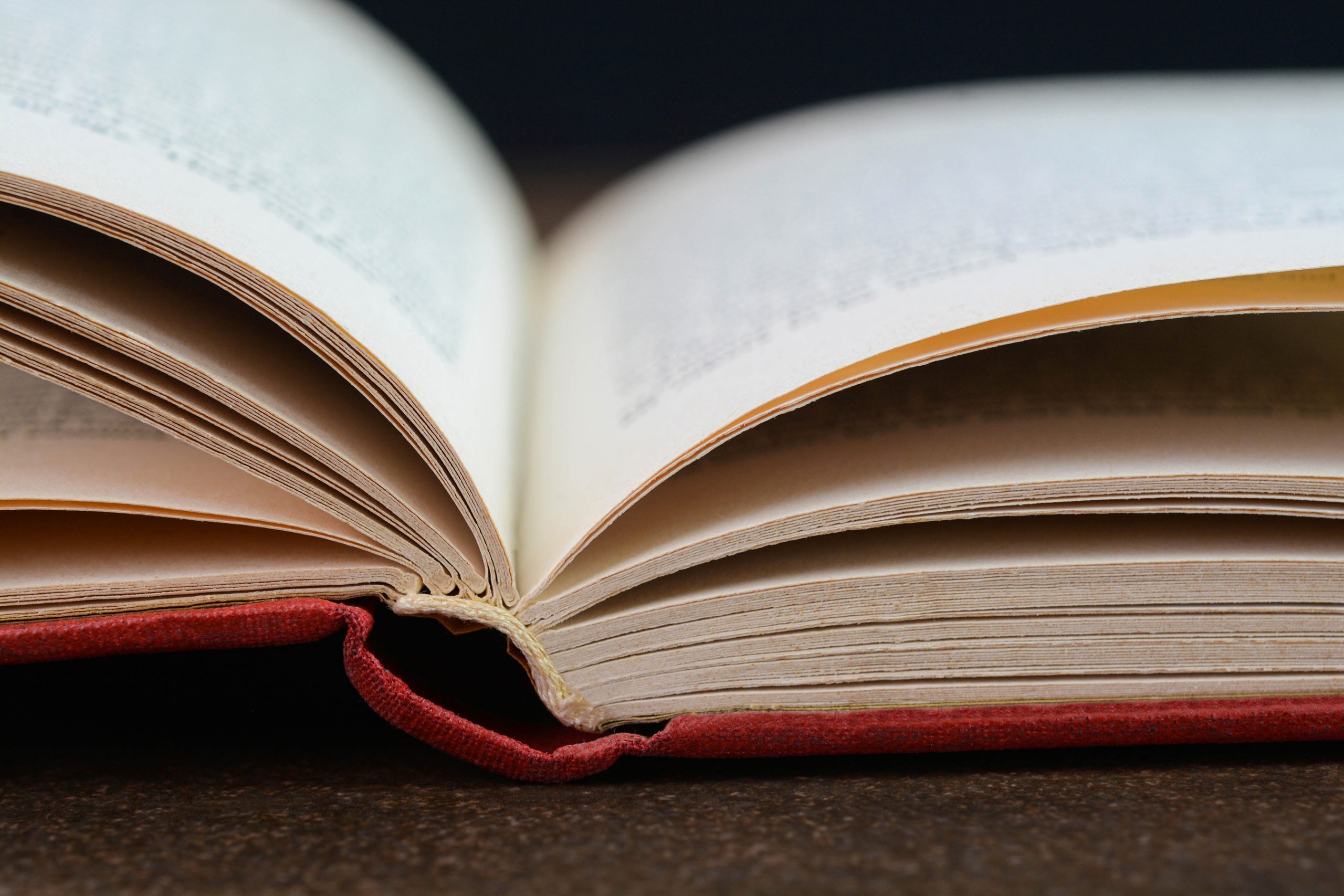 Getting a read on the situation: State Schools Superintendent appoints literacy council